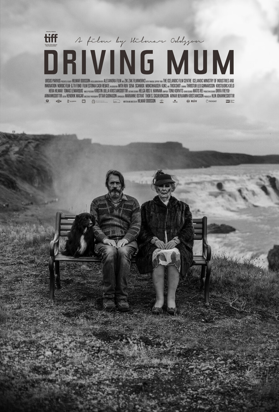 Driving Mum poster
