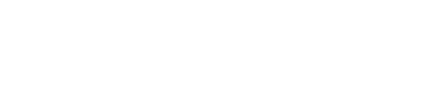 Ursus Parvus